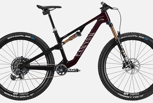 Canyon Neuron CF LTD Mountain Bikes