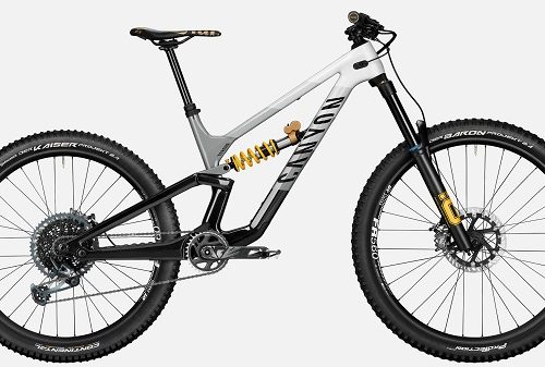 Canyon Torque CF CLLCTV FW Mountain Bikes