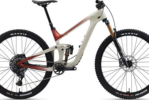 Giant Trance Advanced Pro 29 0 Mountain Bike