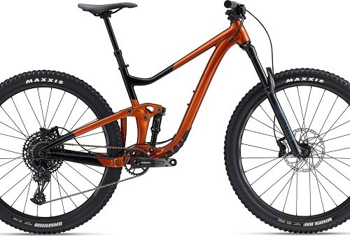 Giant trance X 29 2 mountain bike