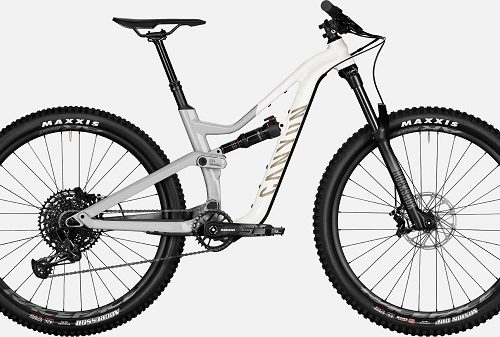 Canyon Spectral Young Hero Montain Bikes