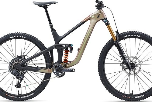 Giant Reign Advanced Pro 0 Mountain Bike