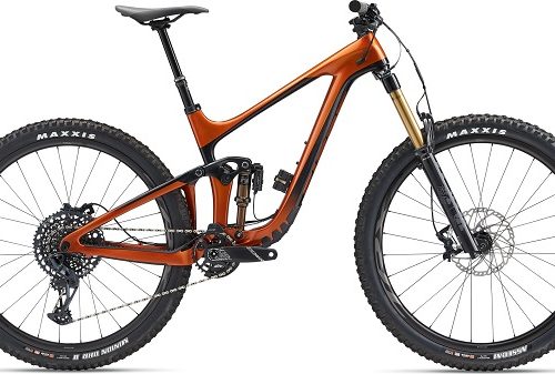Giant Reign Advanced Pro 29 1 Mountain Bike