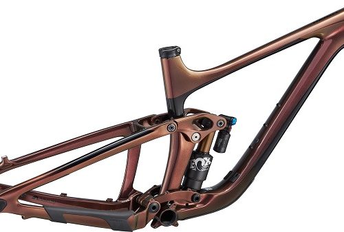 Giant Reign Advanced Pro 29 Frameset Mountain Bike