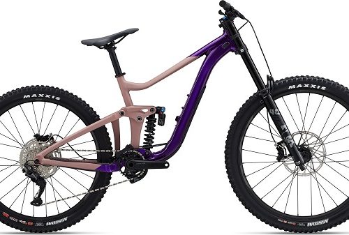 Giant Reign SX Mountain Bike