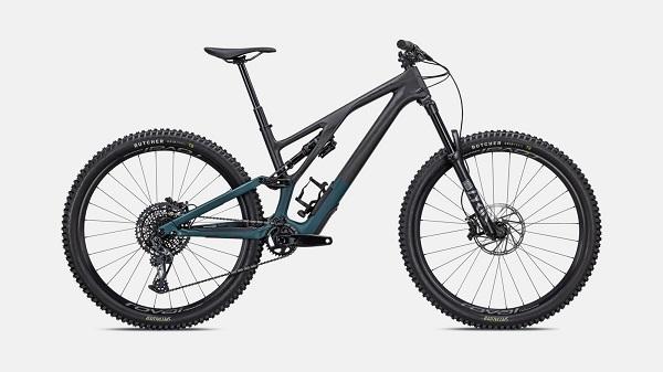 Specialized Stumpjumper Evo Expert Rs Mountain Bike